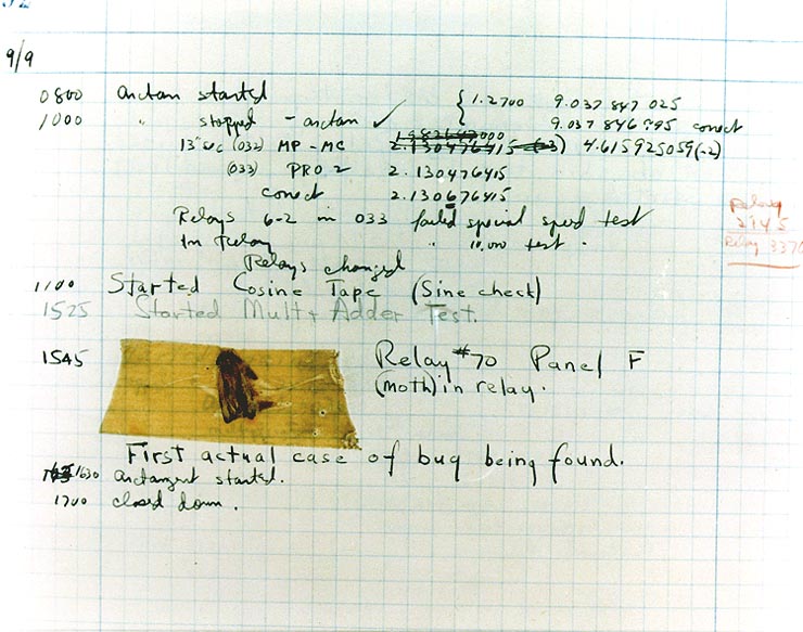 A dead moth taped to a page