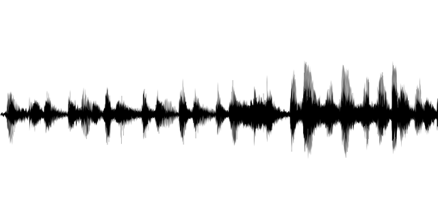 Audio waveform